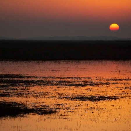 Hajdu Lovasudvar Хортобадь Экстерьер фото